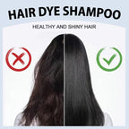 🎉Year End Sale🎉Herbal Extract Instant Hair Color Shampoo for Men & Women
