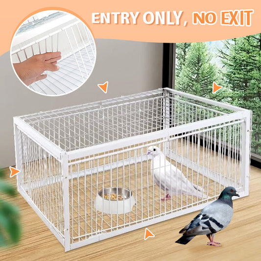 AutoTrap Bird Cage - Entry Only, No Exit, With Base