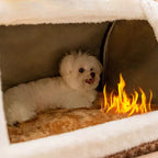 🔥Free shipping🔥 Spacious Insulated Soft and Breathable Dog House