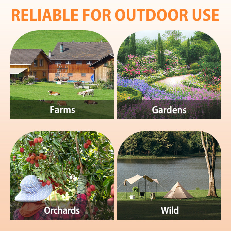 AutoTrap Bird Cage - Entry Only, No Exit, With Base