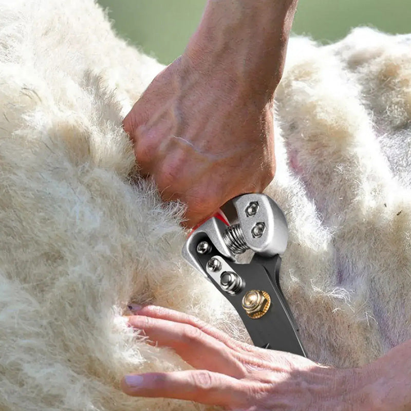 Professional Level Precision Wool Shears