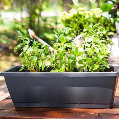 🌼Hot Sale🌼Rectangular Lazy Plastic Flower Pot, Suitable For Home Balcony