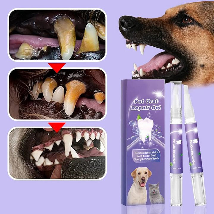 🌈BUY 1 GET 1 FREE🥳Pet Oral Repair Gel