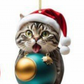🎄10 Piece 😻  Cat Christmas Tree Ornaments. Hanging Cat Ornaments