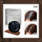 ✨Hot Sale✨Portable Temporary Hair Dye Cushion