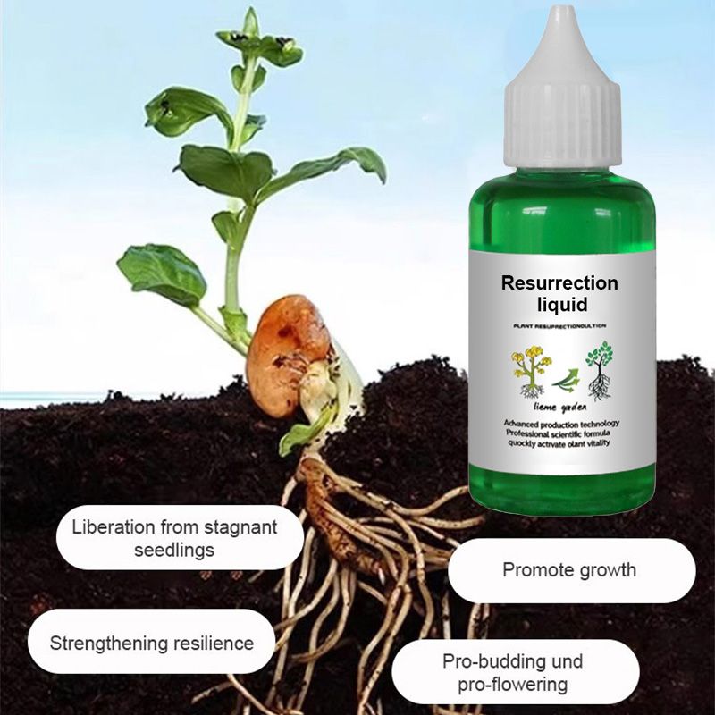👍🌿Plant and Flower Activation Liquid Solution