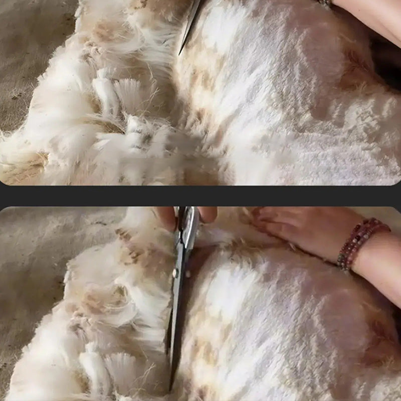 Professional Level Precision Wool Shears