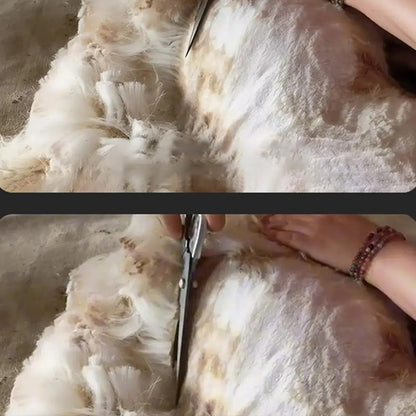 Professional Level Precision Wool Shears