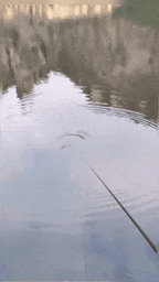 High Sensitivity Intelligent Auto Fishing Float