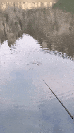 High Sensitivity Intelligent Auto Fishing Float