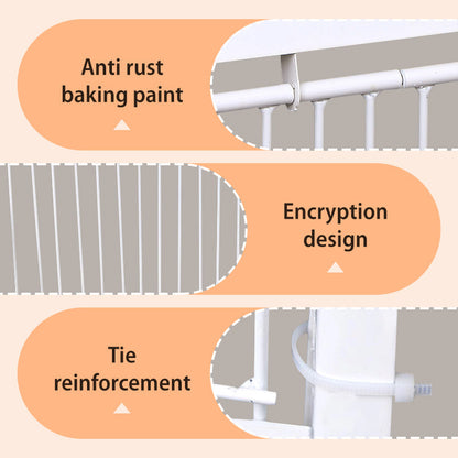 AutoTrap Bird Cage - Entry Only, No Exit, With Base
