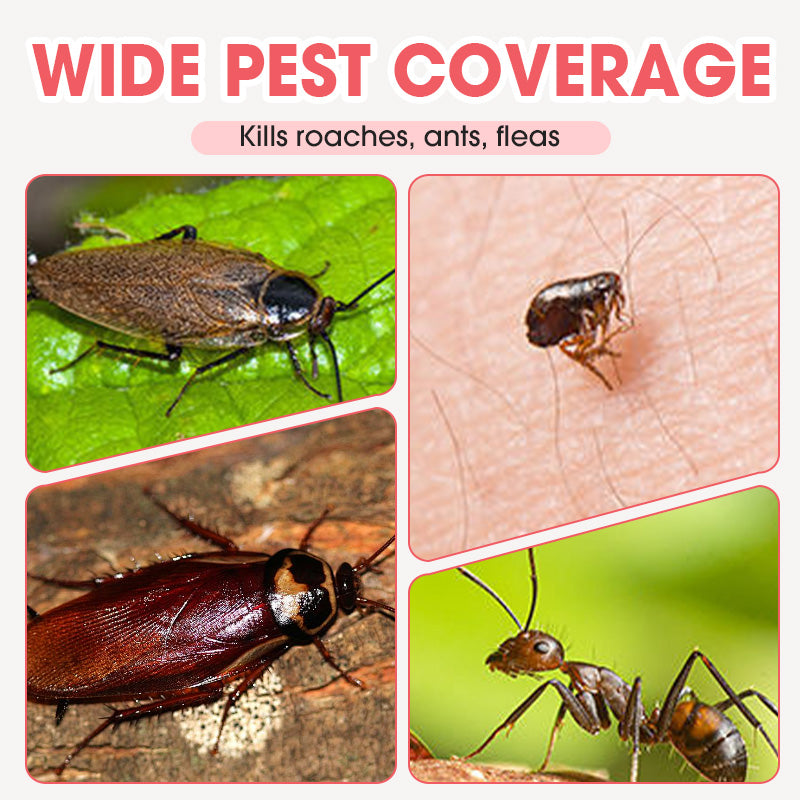 Indoor Fipronil Pest Control Spray. Plant-based Insect Repellent, Natural And Odorless