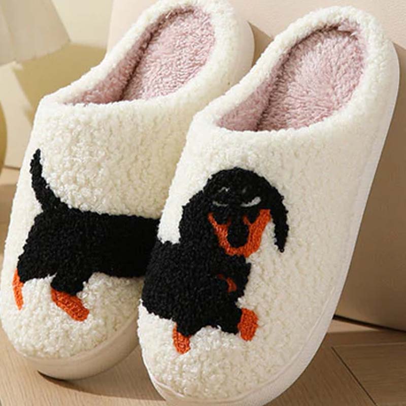 Women's Cute & Warm House Slippers