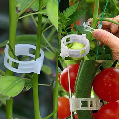 🗜️Clips For Climbing Plants – Plastic tomato ties and plant fasteners 🌱🍅