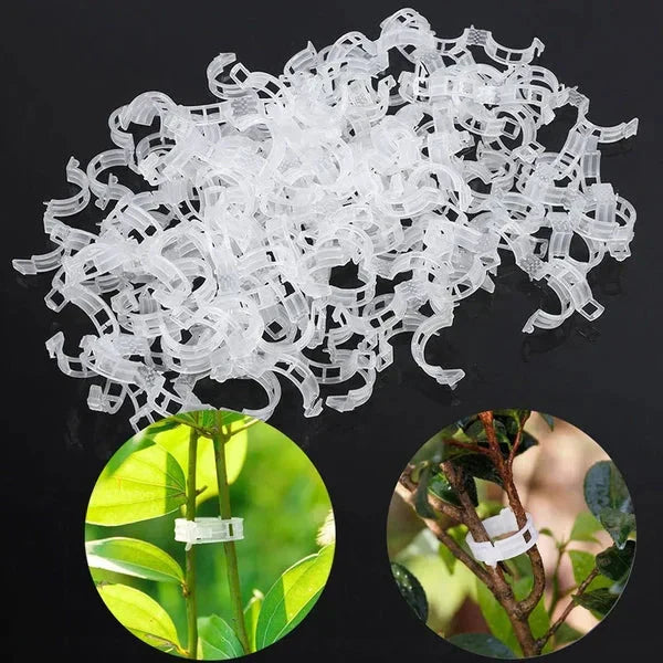 🗜️Clips For Climbing Plants – Plastic tomato ties and plant fasteners 🌱🍅