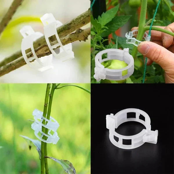 🗜️Clips For Climbing Plants – Plastic tomato ties and plant fasteners 🌱🍅