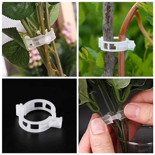 🗜️Clips For Climbing Plants – Plastic tomato ties and plant fasteners 🌱🍅