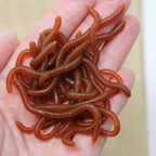 ⏳Time-Limited Special⏰Simulation Earthworm Soft Fishing Lures – Scented, Lifelike, Durable 🌊